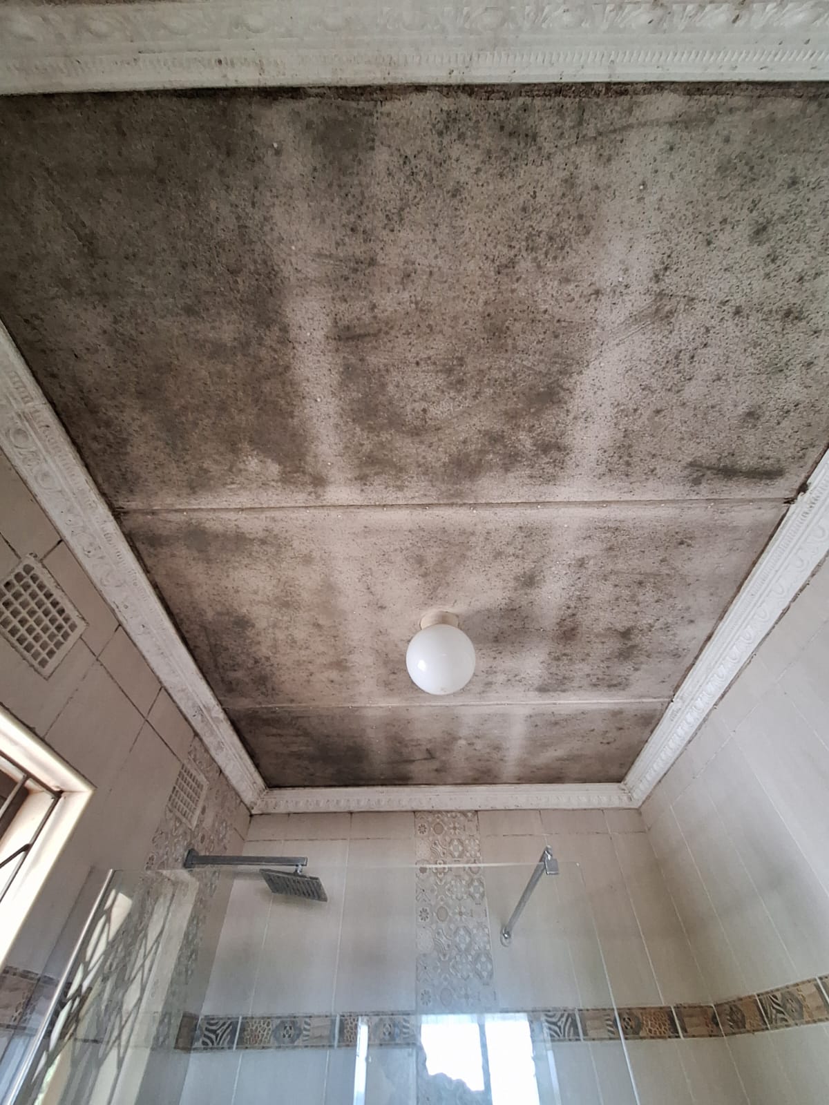 Bathroom ceiling before — heavy black mould throughout