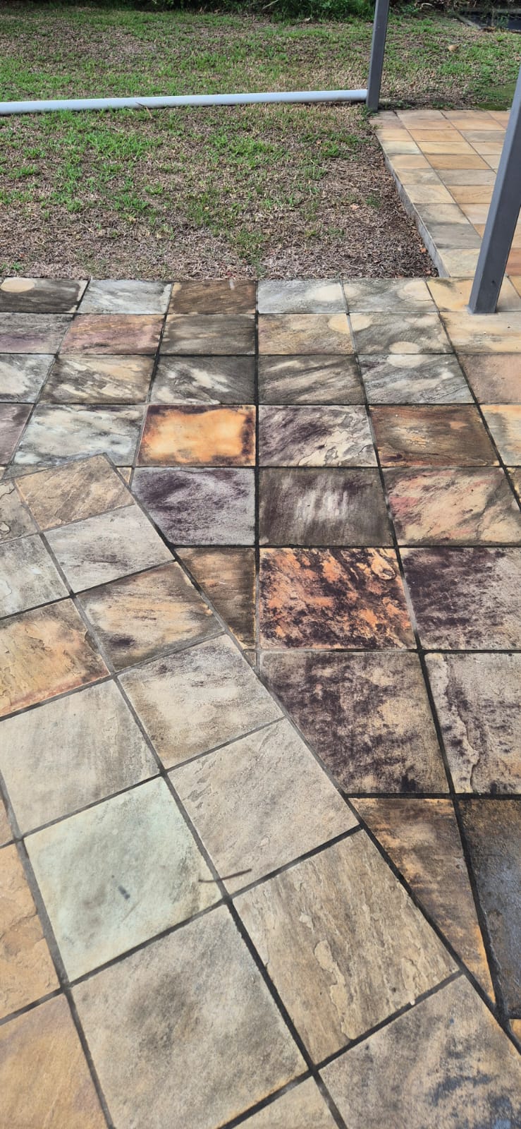 Paving tiles before cleaning — heavy mould and staining