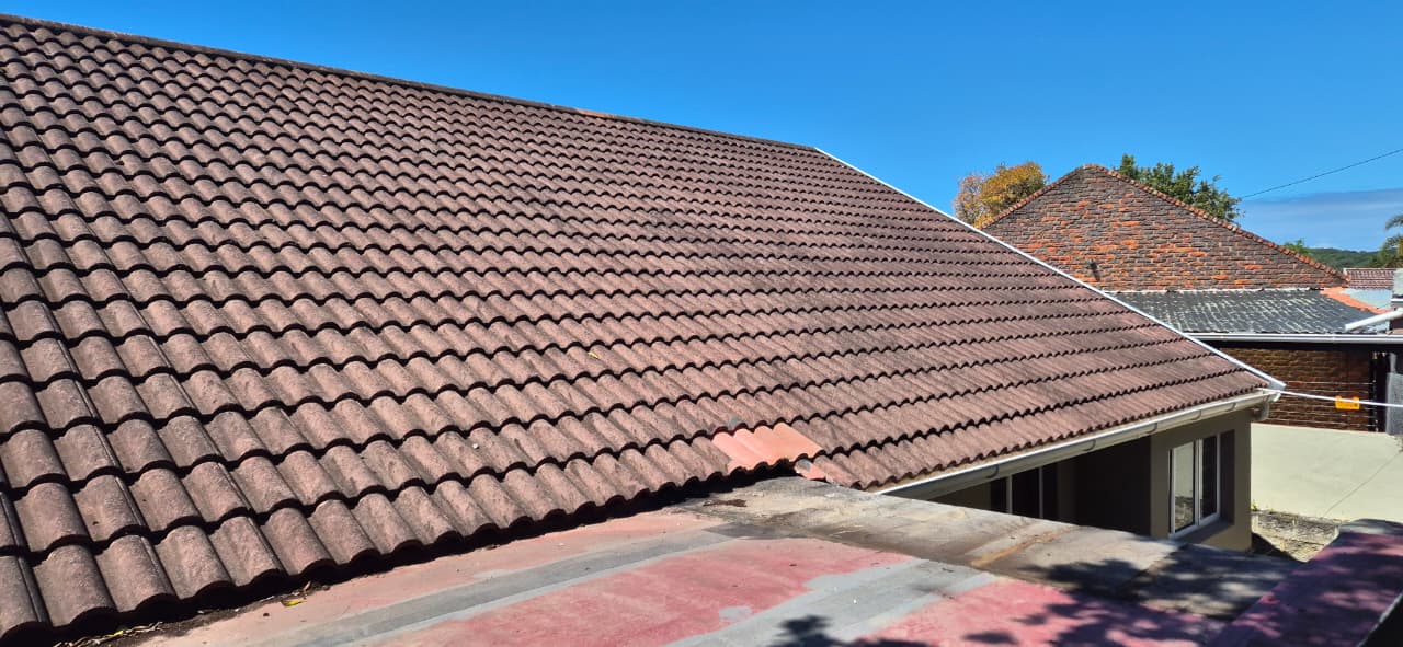 Roof tiles before cleaning — dark mould and algae coverage