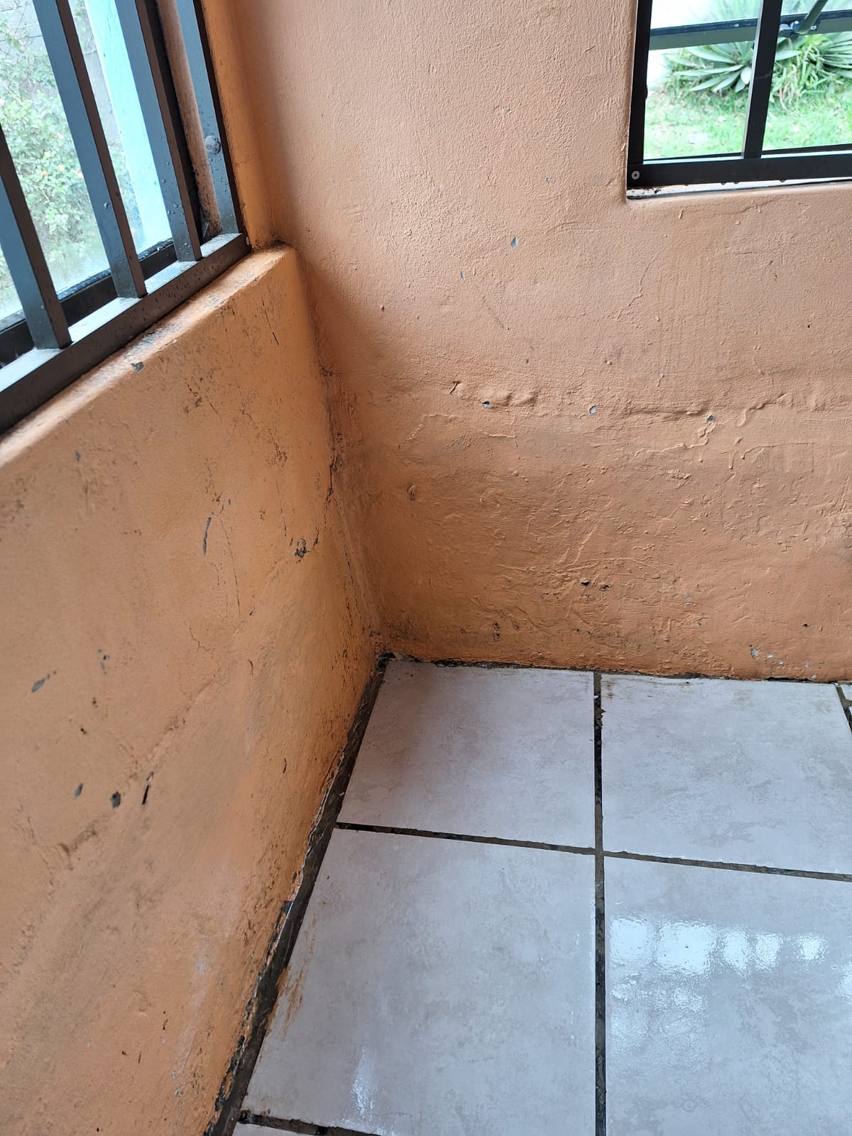 Interior wall after mould removal — clean rendered surface restored