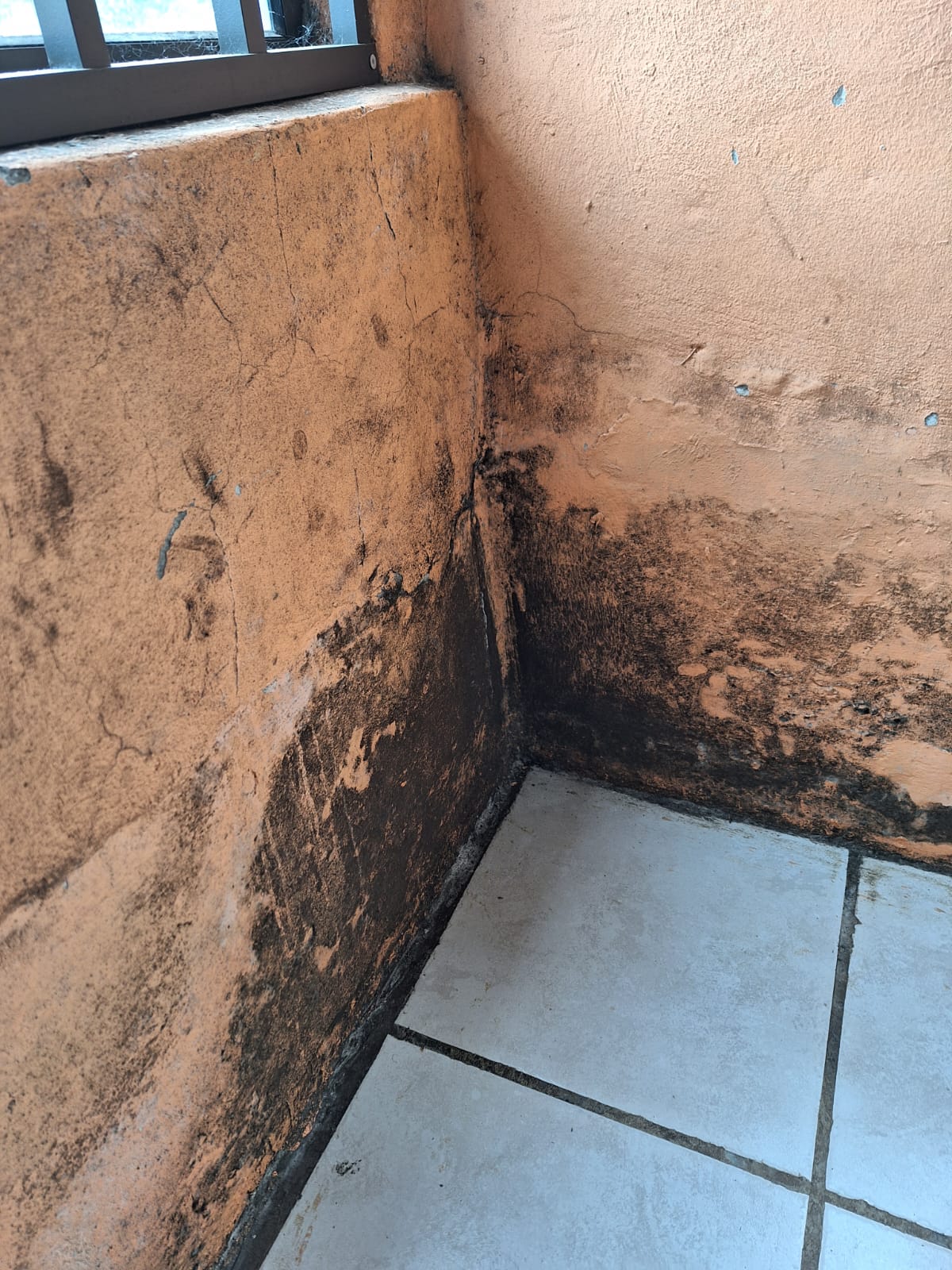 Interior wall before treatment — heavy black mould covering rendered walls